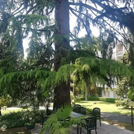 Apartmán Monika 333 Star On The